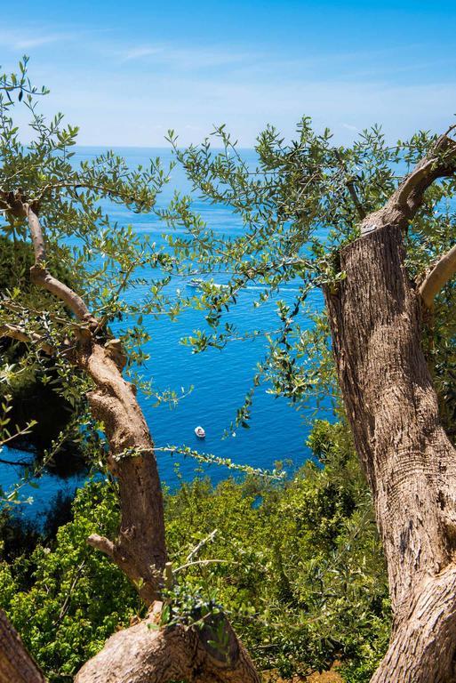 Villa De Rosa Positano Eksteriør bilde